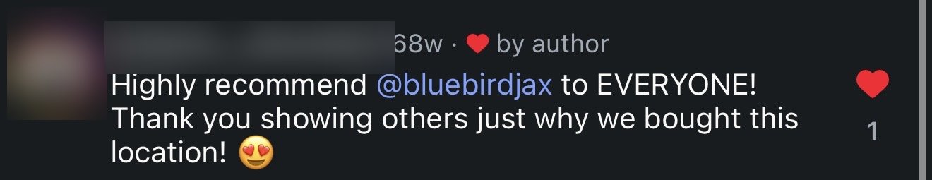 Instagram comment: Highly recommend Bluebird to everyone!