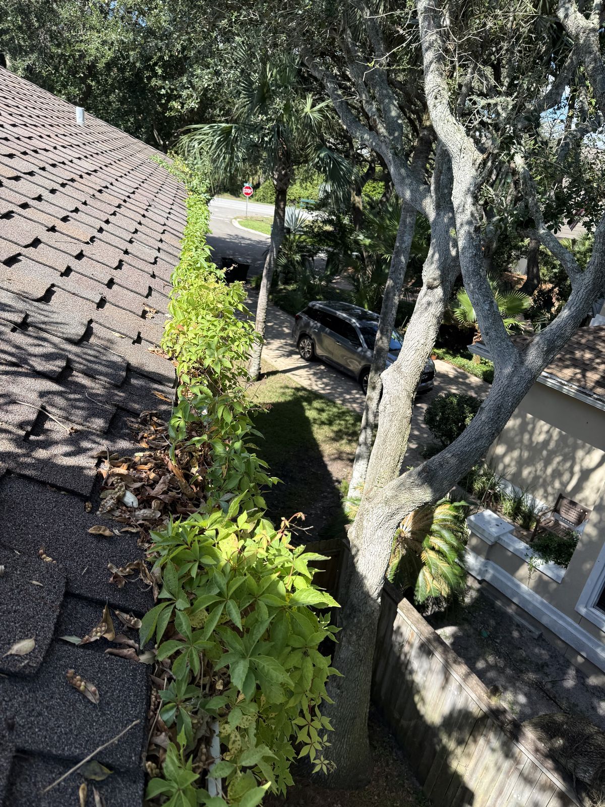 Gutter cleaning, before