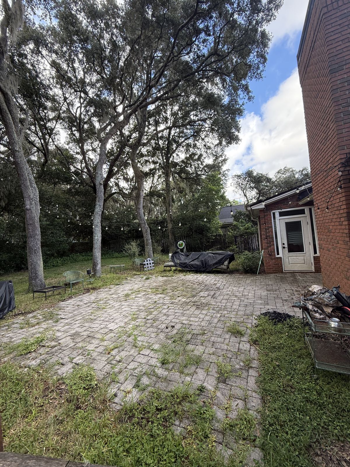 Backyard patio cleaning, before