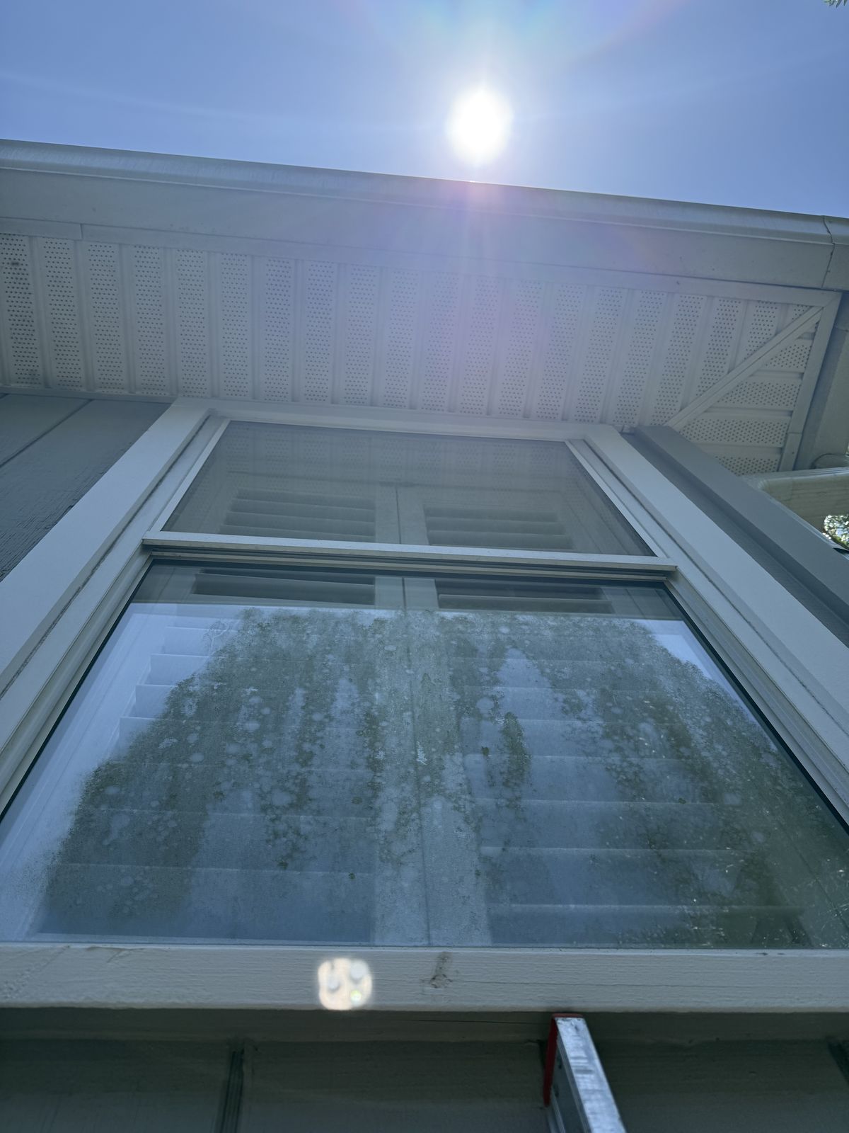 Window cleaning, before